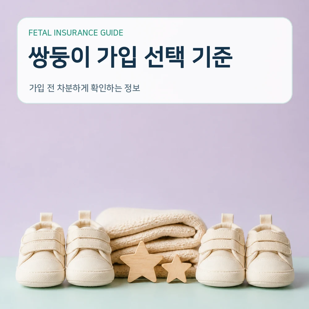 태아보험 쌍둥이 가입 선택 기준